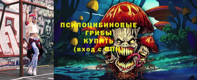 как найти закладки  Саров  Галлюциногенные грибы MAGIC MUSHROOMS 